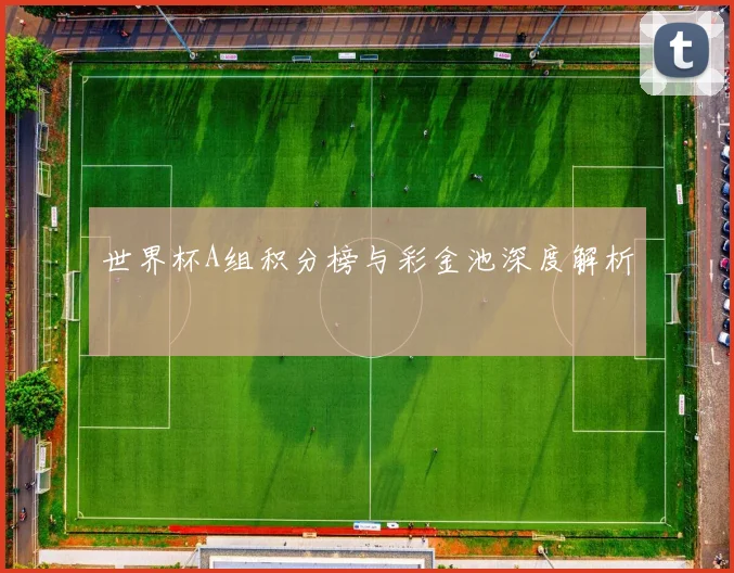 世界杯A组积分榜与彩金池深度解析